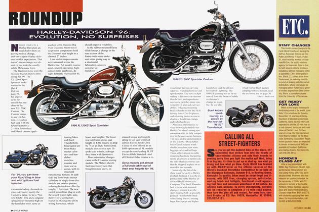 Harley-Davidson '96: Evolution, No Surprises | Cycle World 