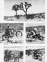 Page: - 36 | Cycle World