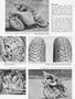 Page: - 12 | Cycle World