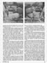 Page: - 17 | Cycle World