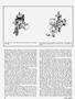 Page: - 22 | Cycle World