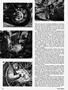 Page: - 16 | Cycle World