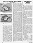 Page: - 40 | Cycle World