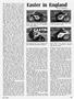 Page: - 53 | Cycle World