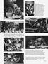 Page: - 23 | Cycle World