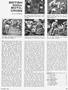 Page: - 49 | Cycle World