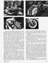 Page: - 25 | Cycle World