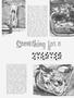 Page: - 31 | Cycle World
