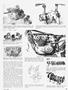 Page: - 41 | Cycle World