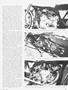 Page: - 43 | Cycle World