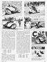 Page: - 37 | Cycle World