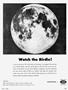 Page: - 33 | Cycle World