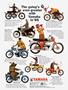 Page: - 37 | Cycle World