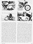 Page: - 43 | Cycle World