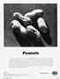 Page: - 13 | Cycle World