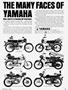 Page: - 3 | Cycle World