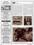 Page: - 120 | Cycle World