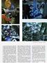Page: - 51 | Cycle World