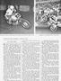 Page: - 84 | Cycle World