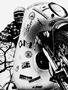 Page: - 32 | Cycle World
