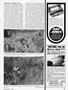 Page: - 91 | Cycle World