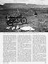 Page: - 67 | Cycle World