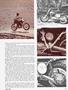 Page: - 61 | Cycle World