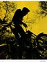 Page: - 62 | Cycle World