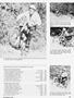 Page: - 97 | Cycle World