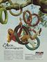 Page: - 74 | Cycle World