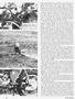 Page: - 62 | Cycle World