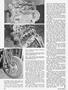 Page: - 48 | Cycle World