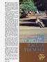 Page: - 63 | Cycle World