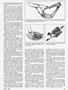 Page: - 99 | Cycle World
