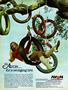 Page: - 66 | Cycle World