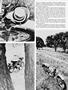 Page: - 36 | Cycle World