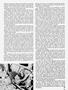 Page: - 45 | Cycle World