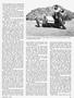 Page: - 43 | Cycle World