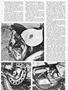 Page: - 53 | Cycle World