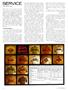 Page: - 8 | Cycle World
