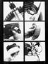 Page: - 101 | Cycle World
