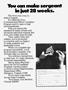 Page: - 119 | Cycle World