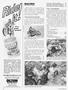 Page: - 40 | Cycle World