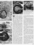 Page: - 105 | Cycle World