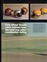 Page: - 26 | Cycle World