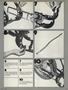 Page: - 71 | Cycle World