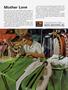 Page: - 152 | Cycle World
