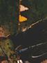 Page: - 34J | Cycle World
