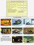 Page: - 129 | Cycle World