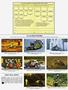 Page: - 103 | Cycle World